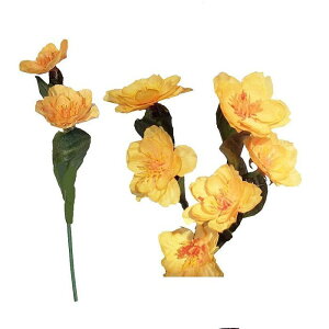 yԁE~ztNW\E /  KWc\E  | 990256