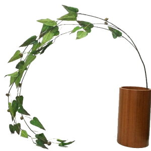 yASCAԁEHzނK[hE]q/AXJ/ascabA-47169