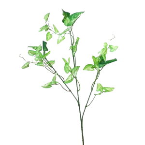 ~jREX@ԁyԁ@āEO[@ԁzϗtA@ | 2890