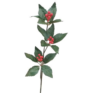 yԁE~EzZE / 傤 痼  | 990185 / FS-5384