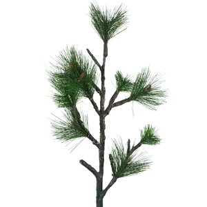 yԁE~EO[z / ܂ }c   | 5784