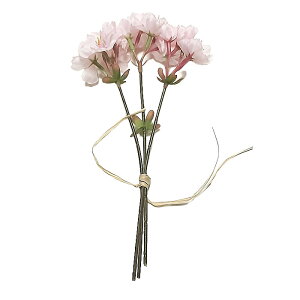 yԁEtEzTNsbN /   TN | 990300 / FS-7919