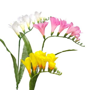 yԁEtzt[WA / ӂ[ / fBXvCEf | FS-7979 / FS7959