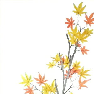 yԁEHEgtz݂ECn~Wb9714