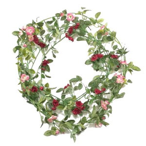 yԁEtz~j[YK[h / ΂ o KN | VDG5160