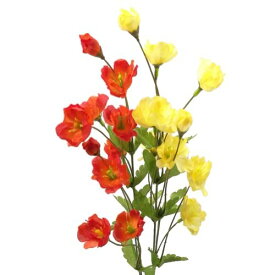 楽天市場 ヒナゲシ 花 ガーデン Diy の通販 楽天市場 ヒナゲシ 花 ガーデン Diy の通販