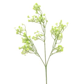 楽天市場 スプレー かすみ 草の通販