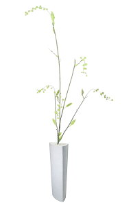 O[lbNXyϗtA@ԁzO[lbNX@ԁEẲԁ@| 60001