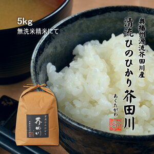 令和7年産 新米 米 お米 5kg 送料無料 無洗米 精米にて 清流ひのひかり芥田川 農家の低温精米 ヒノヒカリ 5キロ 贈答 ギフト お取り寄せ 贈り物 喜ばれる お米ギフト おいしいお米 お祝い 内祝