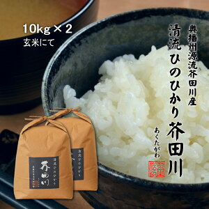 令和7年産 新米 米 お米 20kg 10kg×2 送料無料 玄米にて 清流ひのひかり芥田川 石抜き処理済 ヒノヒカリ 20キロ お取り寄せ 贈り物 喜ばれる お米ギフト おいしいお米 お祝い 内祝い 贈答