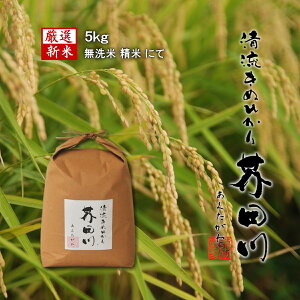令和7年産 新米 米 お米 5kg 送料無料 無洗米精米にて 清流きぬひかり芥田川 農家直送 お取り寄せ グルメ贈り物 喜ばれる お米ギフト お祝い 内祝い 贈答 美味しい グルメギフト