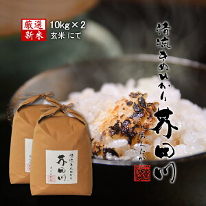 令和7年産 新米 米 お米 10kg×2 20kg 送料無料 玄米にてお届け 清流きぬひかり芥田川 農家直送 10キロ 国産米 キヌヒカリ お取り寄せ 贈り物 喜ばれる お米ギフト おいしいお米 お祝い 内祝い 贈