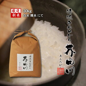 キヌヒカリ 米」の人気商品一覧 | 安い商品を通販サイトから探す 