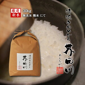 令和7年産 新米 米 お米 30kg 送料無料 無洗米 精米にて 清流きぬひかり芥田川 農家直送 30キロ 国産米 キヌヒカリ お取り寄せ 贈り物 喜ばれる お米ギフト おいしいお米 お祝い 内祝い 贈答 美