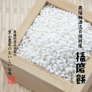 ߘa7NY  5kg×2 10kg  dBHc d ͂܂ 10L 5Â 7Â `Đ V ` Δς