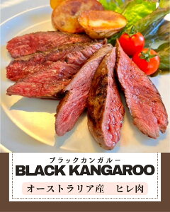 JK[ Hp q 250~850g Iׂ e_[C ubN I[XgAY ō Ⓚ WrG Ԑg 쐶 [~[g BY kangaroo փ tB (Iׂd)