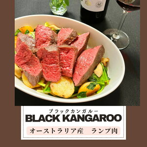 JK[ Hp v  350`850g Iׂd ubN I[XgA BY Xe[L ē Ԑg WrG 쐶 [~[g Ⓚ kangaroo (v) (Iׂd)