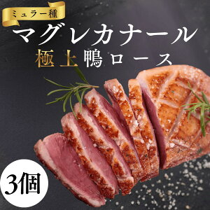   Ⓚ [X }OJi[ 340g~400g J    Ԃ [Xg  ubN ǂ o` tHAO NX}X Ε (Iׂ)