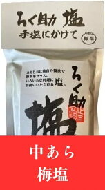 ろく助 中あら塩 梅塩 200g ろくすけ 塩 六助 赤坂 干椎茸 昆布 干帆立貝 (中あら梅塩)