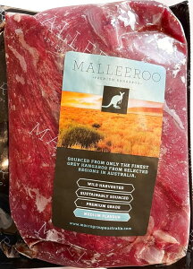 JK[ Hp q e_[C 550~650g ubN WrG Ԑg 쐶 [~[g ō BY I[XgA kangaroo փ tB Ⓚ (q 550~650g)