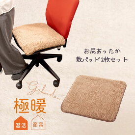 極暖 お尻あったか敷きパッド2枚セット ミニブランケット 小さめ 小さい 膝掛け ひざ掛け 防寒 冷え性 毛布 暖かい 睡眠 子ども 子供 足元 あったか 子供 お尻 あったか 防災 グッズ 冷え 対策 寒さ対策 デスクワーク あったかグッズ