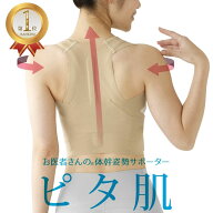楽天1位 お医者さんの 体幹 姿勢 サポーターピタ肌 姿勢矯正 背筋 背筋矯正ベルト 背筋矯正 美姿勢 美姿…