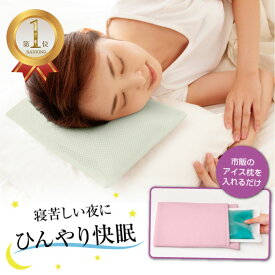楽天1位 サラッとひんやり快眠アイス枕カバー アイス枕 カバー アイス枕用カバー アイスマクラカバー 薄型 メッシュ ひんやり 保冷剤 冷却 まくら 水滴 洗える 冷感 冷房対策 冷え対策 夏 熱中症 予防 対策 ぬれない 濡れない 枕 涼しい