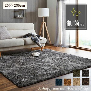 �y���[�J�[�����i�z���t�H�� ���O 200×250�y�����` ���O�}�b�g ������� �V���v�� �炮 ���n �I�[���V�[�Y�� ���ׂ�~�ߕt�� �z�b�g�J�[�y�b�g�J�o�[ �z�b�g�J�[�y�b�g�Ή� ���g�Ή� ���g�[ 