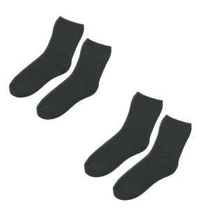 あったか靴下 2重パイルウォーマー 靴下 レディース 足元 温める グッズ 足元あったか あったかグッズ 冷えとり靴下 冷え取り ひえとり 冷え取り靴下 暖かい靴下 足 足首 足先 指先 冷え 温