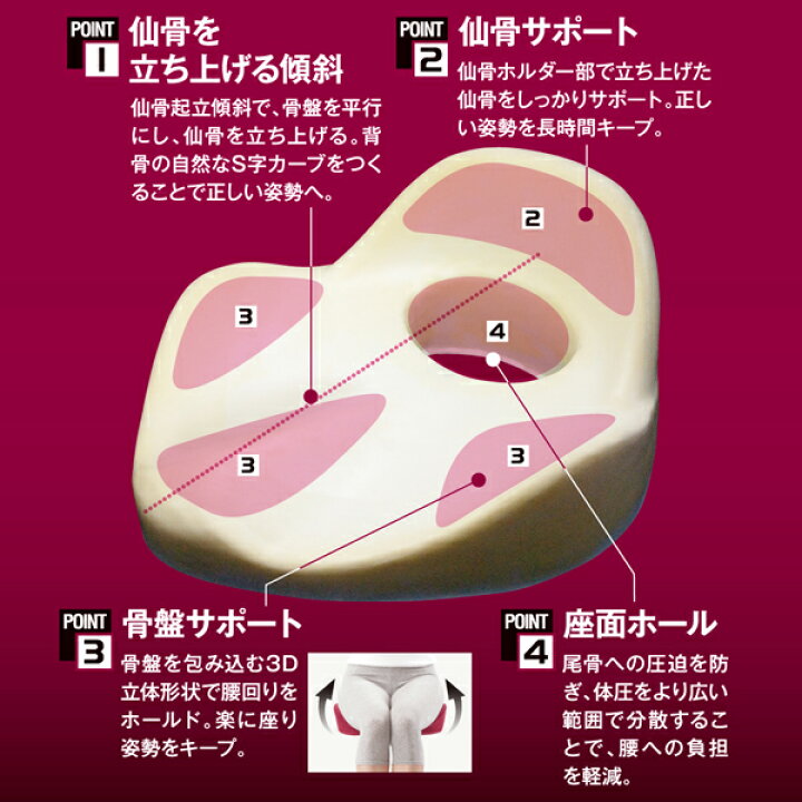 楽天市場 あす楽 送料無料 仙骨クッション 仙律 腰痛対策 クッション 骨盤クッション 姿勢 姿勢矯正 背筋 デスクワーク オフィス 仕事 職場 座り仕事 床 引き締め 締める 骨盤矯正 ゆがみ 椅子 いす 高反発 円座クッション お尻 腰 骨盤 産前 産後 痔 猫背 グッズ