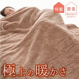極暖 毛布 シングル あったか毛布 冬 シングル 冬用毛布 シングルサイズ 洗える 軽量 暖かい あったか あったかい あったかグッズ 寝具 掛け 布団 冷え 温め 防寒 冷え性 寒さ対策 節電 温活 冷え対策 あたたかい 洗濯 洗える 薄手 軽い 秋 冬