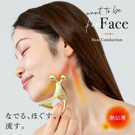 ＼マラソン期間限定！エントリーでP5倍／ WTB 熱伝導 かっさ フェイス カッサ かっさマッサージ カタツムリマッサージ かっさプレート ボディ 顔 首 目元 フェイスライン 二の腕 足 脚 むくみ かたつむり カタツムリカッサ ゴールド プレート 小顔 ボディ用 ツボ押し