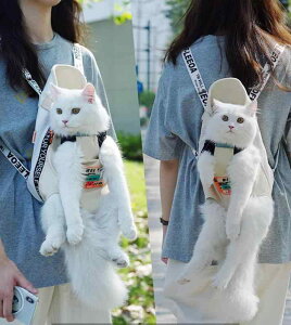  L n[lX obO LA M-XL   ړ  킢 EȂ   nh ybg U [h R   LxȃJ[ ⏕  Ck `