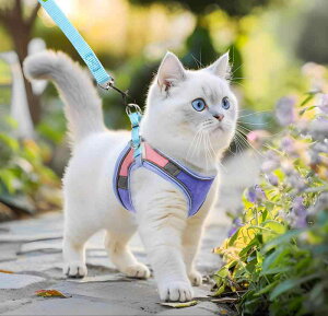 L  n[lX S-L u[ IW O[ Jt  킢 EȂ ^   nh ybg U [h R   LxȃJ[ ⏕ [v Ђ ˂ Lbg