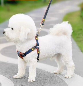   n[lX S-XL |jA sN bh u[  킢 EȂ   nh ybg U [h R   LxȃJ[ ⏕ [v Ђ  Ck `