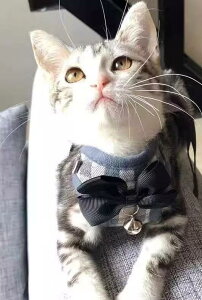 L n[lX XS-L q Xq CG[ sN bh ubN { lN^C  킢 EȂ   nh ybg U [h R   LxȃJ[ ⏕ [v ˂ 