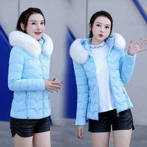 fB[X R[g WPbg V[g ~h _E  AE^[ t[hO\ t@[ XtBbg 傫TCY ̌^Jo[  H~ h g JWA IׂJ