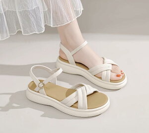 T_ fB[X  [q[ y^R V[Y C tbg  r[` s Cxg f[g O  VbsO v[g }} ꂳ w l o| o wZ 