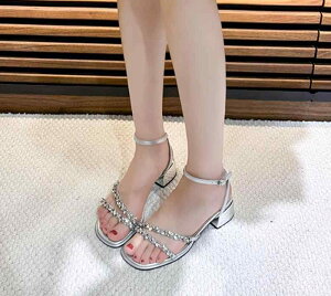 T_ fB[X  q[ 3.5cm r[Y LL LC IV  Xgbv   s Cxg f[g  VbsO v[g  p[eB[ 