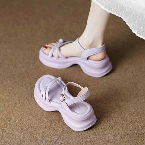 T_ fB[X  q[  NXXgbv t@bV IV }} ɂ w l o| ʋ ʊw wZ w d Mtg tbg W[  s Cxg 