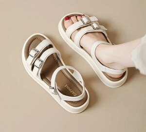 T_ fB[X  q[  obNXgbv t@bV IV }} ɂ w o| ʋ ʊw wZ d Mtg tbg AEghA W[  s Cxg