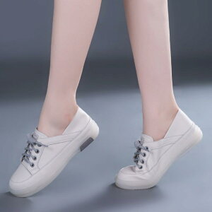 fB[X V[Y Xj[J[  V bV ʋC ~ zCg x[W JWA \tg \[ U[  _炩 ɂ ʋ ʊw f[g VbsO  