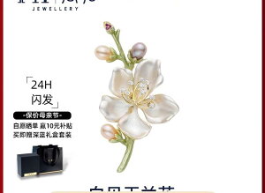 u[` ANZT[ W ^ VR  t[  A zCg y_g afUC ̓ v[g a  p[eB[ 񎟉 w  Cxg X[c o| 