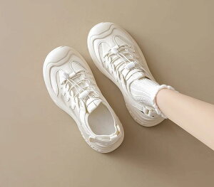 fB[X  Xj[J[ C V[Y V t@bV h zCg x[W ubN JWA ʋC Vv  ʋ ʊw jO oR W[ s ċx X|[