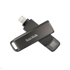 SanDisk TYPE-C SDIX70N-256G-GN6NE Lightnig Flash