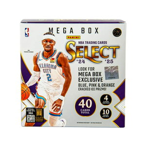 トレーディングカード Panini NBA」の人気商品一覧 | 安い商品を通販 