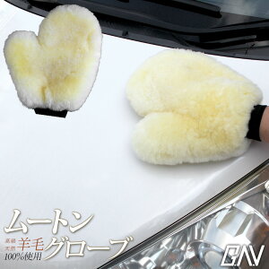 [őP25{] {[Ղ (r100gp) ԗp[gO[u ~g V[v{A X|W ԃObY ԃO[u O[uGAV