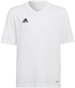 adidasiAfB_Xj KIDSENTRADA22W[W[WjATbJ[EFAqLbYg[jOX|[cGNTTCY^}\jOzCg@ (adj-mbe20-hc5054) TbJ[ Q[Vc