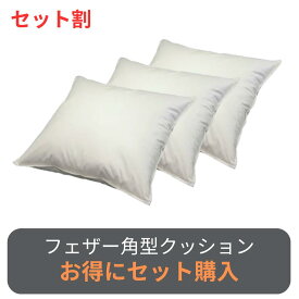 【セット割・送料無料】複数購入がお得！フェザークッション角型クッション 同一サイズ2個～5個セット 30×30 35×35 40×40 45×45 50×50 60×60 65×65 70×70 サイズが選べる ヌードクッション 角型 クッション 羽根 自社工場 日本製