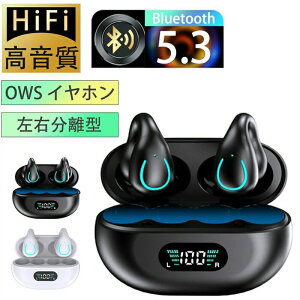 ���C�����X�C���z�� bluetooth5.3 �C���[�J�t�^ Hi-Fi������ ���`���C���z�� ��C�`�� �}�C�N���� �����y�A�����O �u���[�g�D�[�X�C���z�� Type�]C�}���[�d �u�Ԑڑ� ���E�����^ �c�ʕ\�� iPhone/Andr